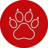 Evento RSE WOW Media - PROYECTO MASCOTA